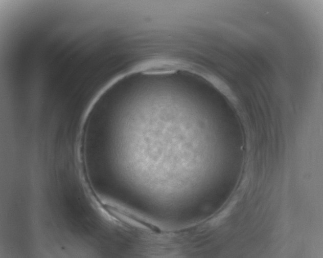 X0000083040912200702091406