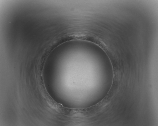 X0000083040913200702091405