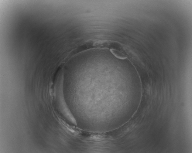 X0000083040914200702091405