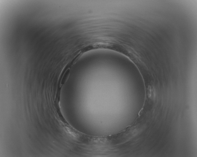 X0000083040915200702091405