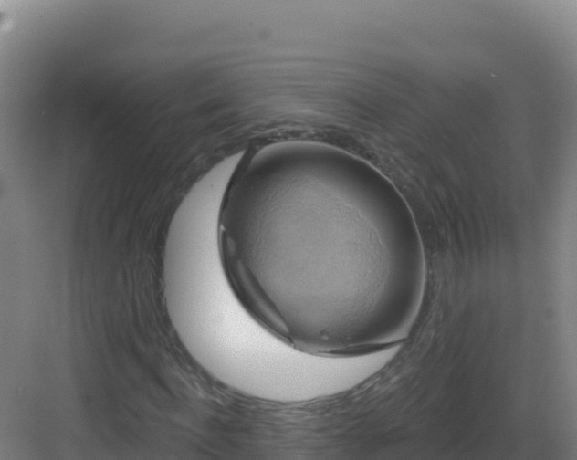 X0000083040916200702091405