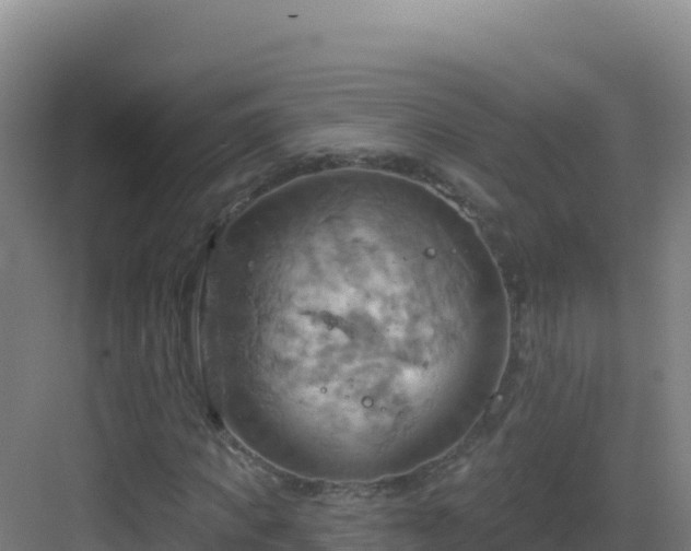 X0000083040917200702091405