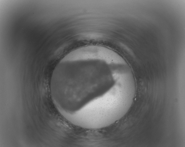 X0000083040918200702091405