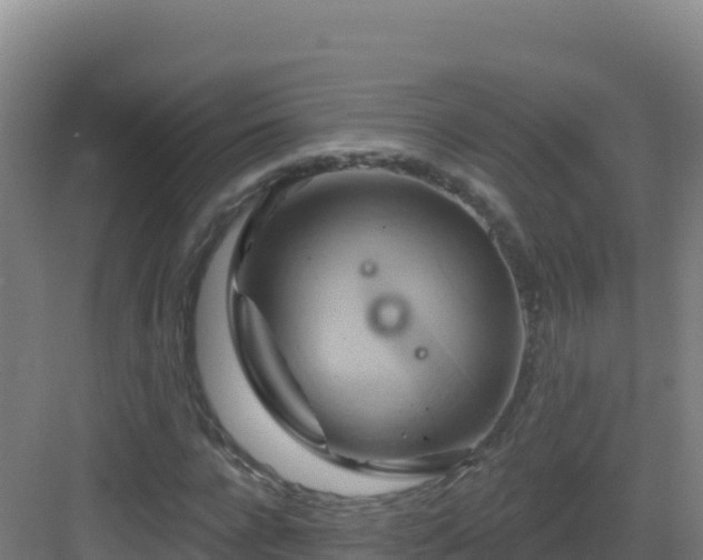 X0000083040920200702091405