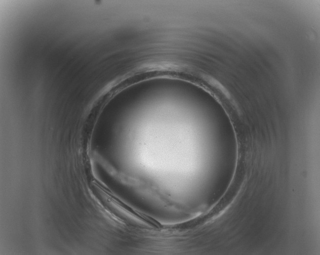 X0000083040922200702091405