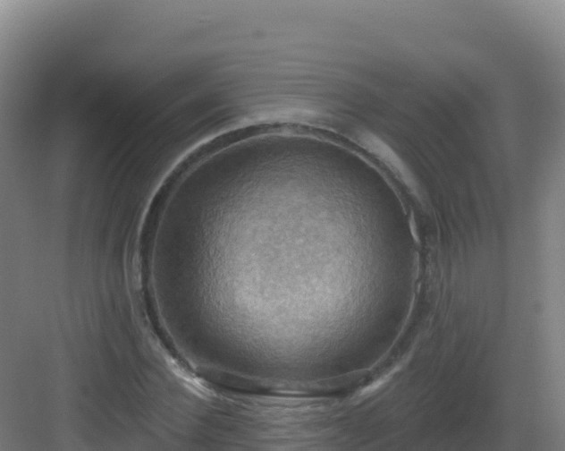 X0000083040924200702091405