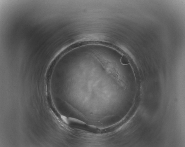 X0000083040925200702091405