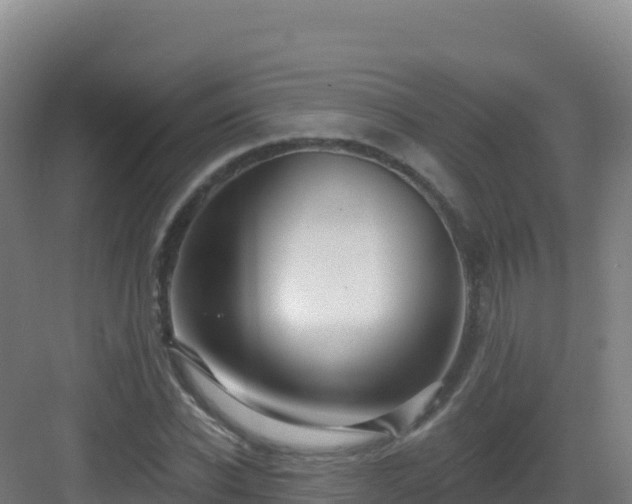 X0000083040926200702091405