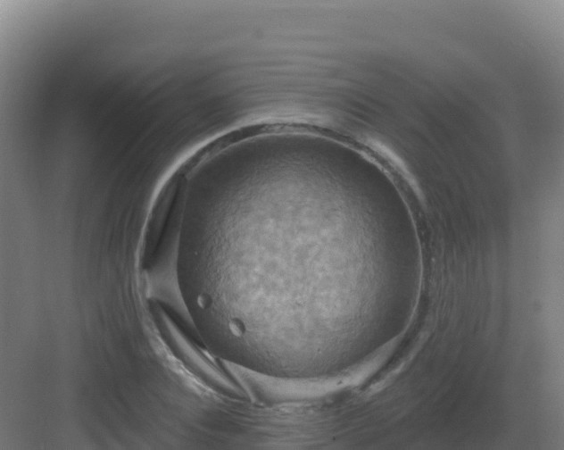 X0000083040928200702091405