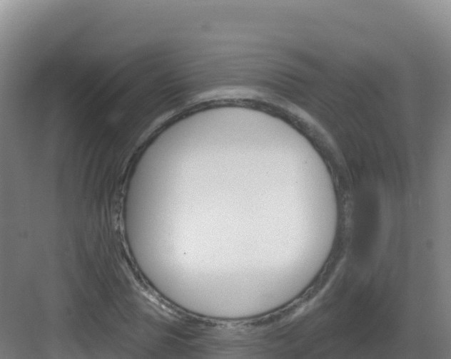 X0000083040929200702091405