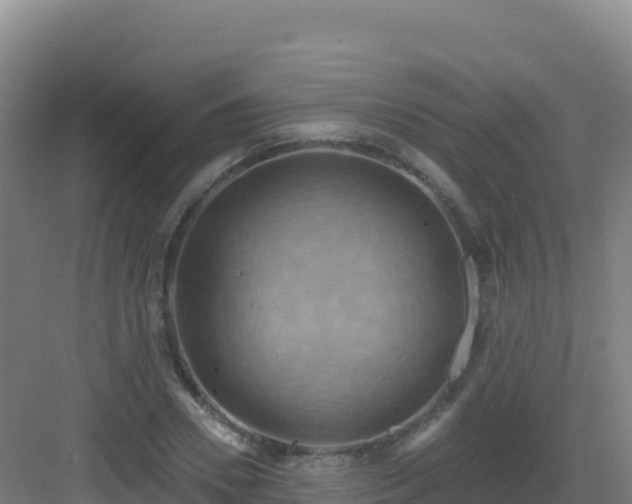 X0000083040930200702091405