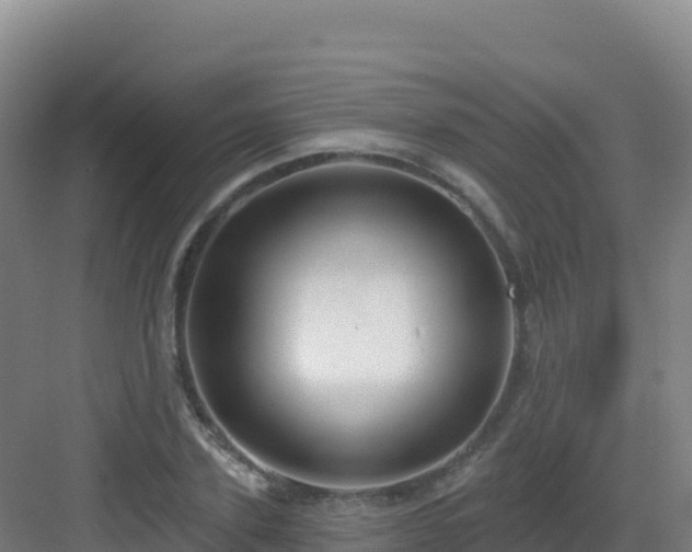 X0000083040931200702091405