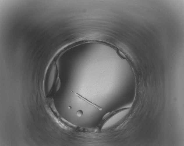 X0000083040932200702091405