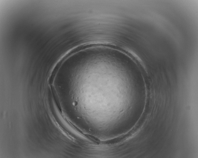 X0000083040933200702091405