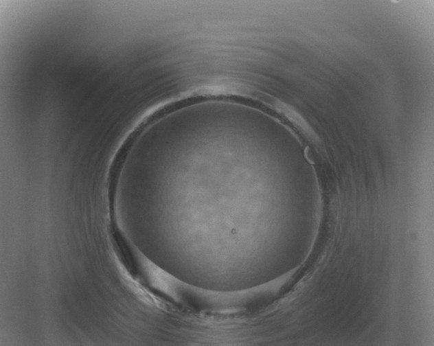 X0000083040934200702091405