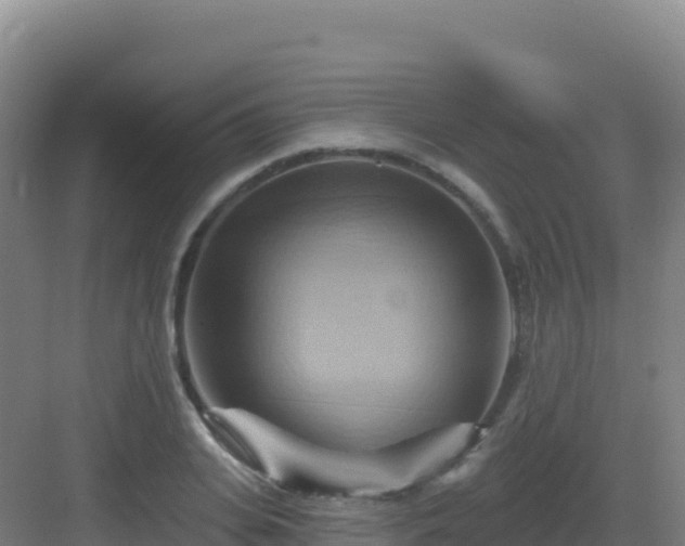 X0000083040935200702091405