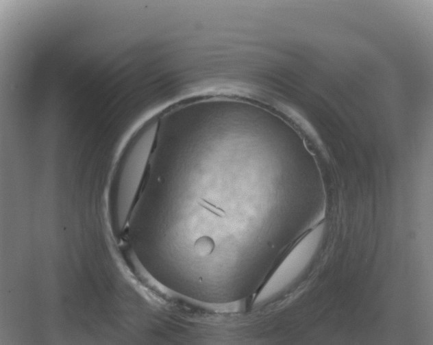 X0000083040936200702091405