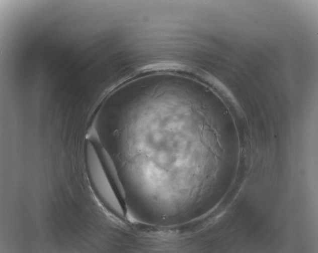 X0000083040937200702091405