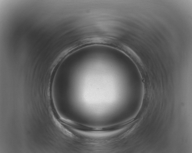 X0000083040938200702091405