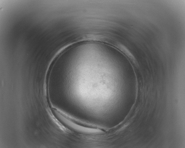 X0000083040940200702091405