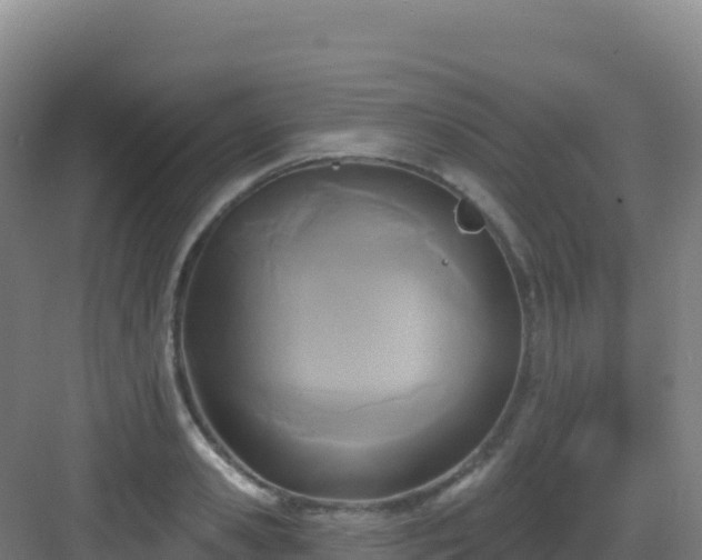 X0000083040941200702091405