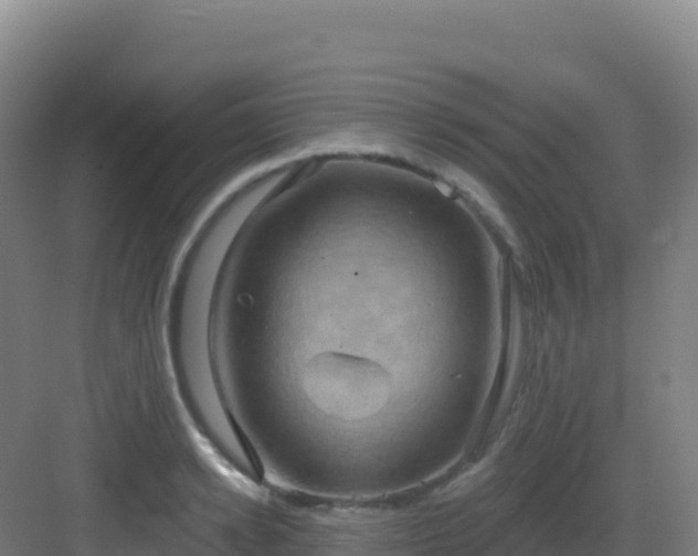 X0000083040942200702091405