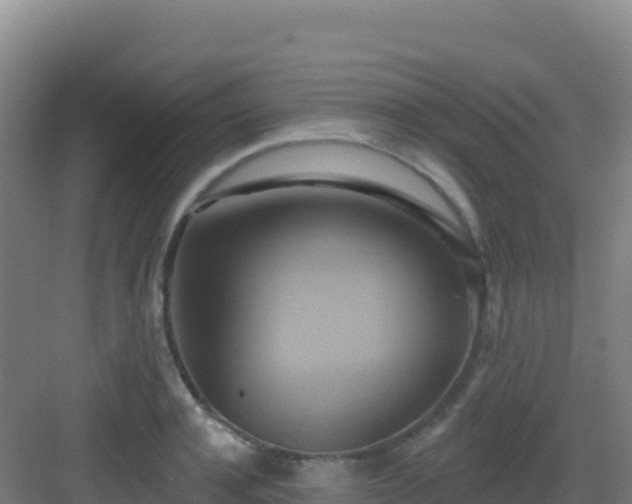 X0000083040944200702091405