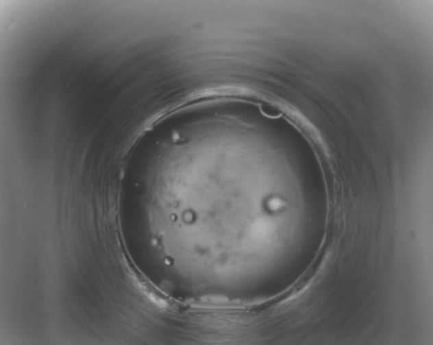 X0000083040945200702091405