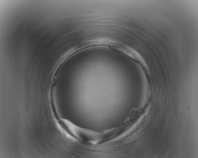 X0000083040946200702091405