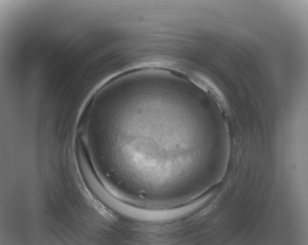 X0000083040948200702091405