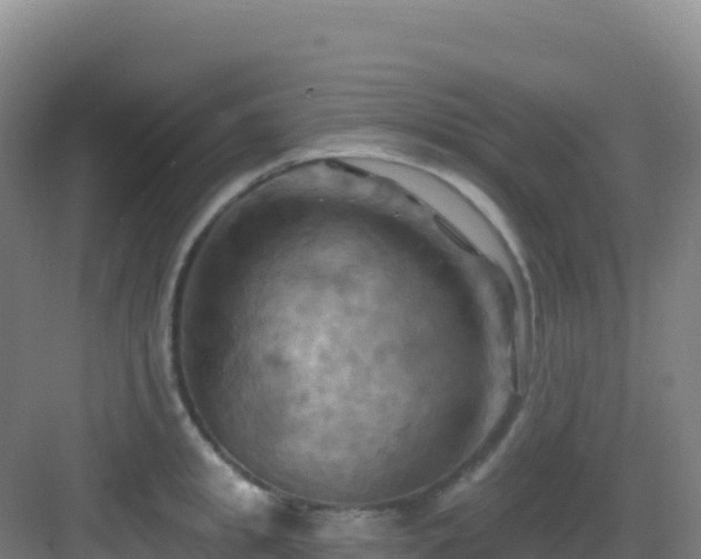 X0000083040949200702091405