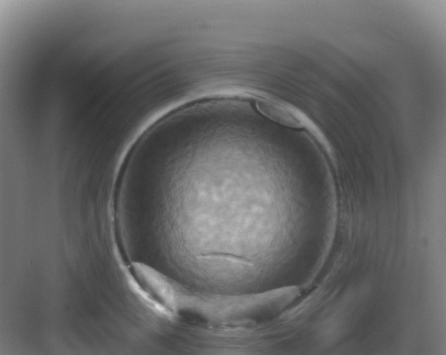 X0000083040951200702091405