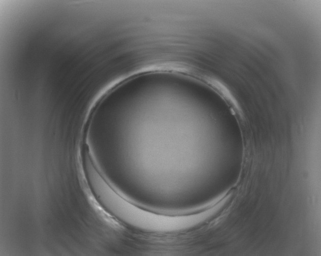 X0000083040952200702091405