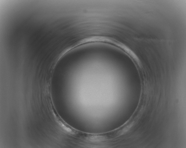 X0000083040953200702091405