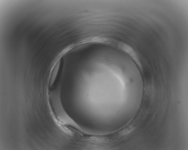 X0000083040954200702091405