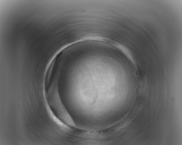 X0000083040955200702091405