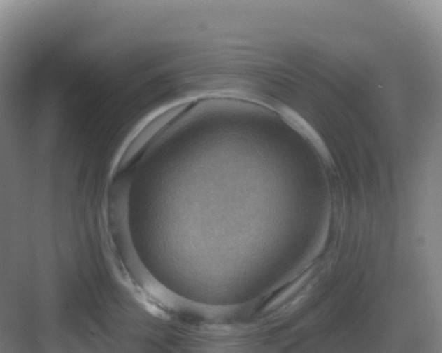 X0000083040956200702091405