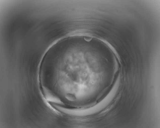 X0000083040957200702091405