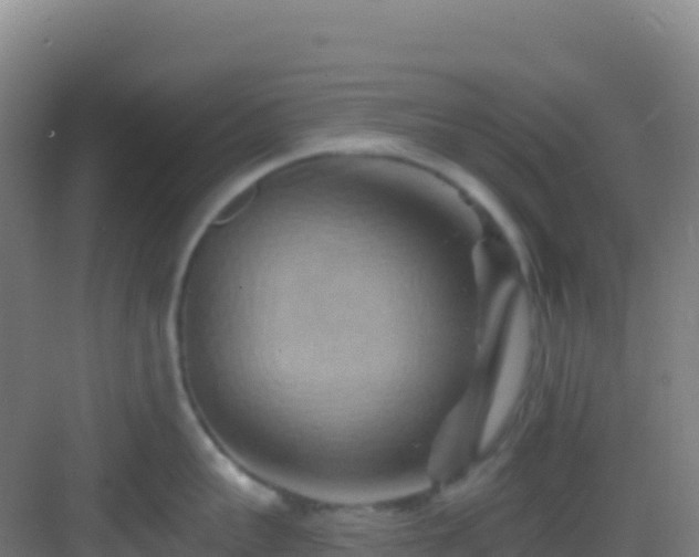 X0000083040959200702091405