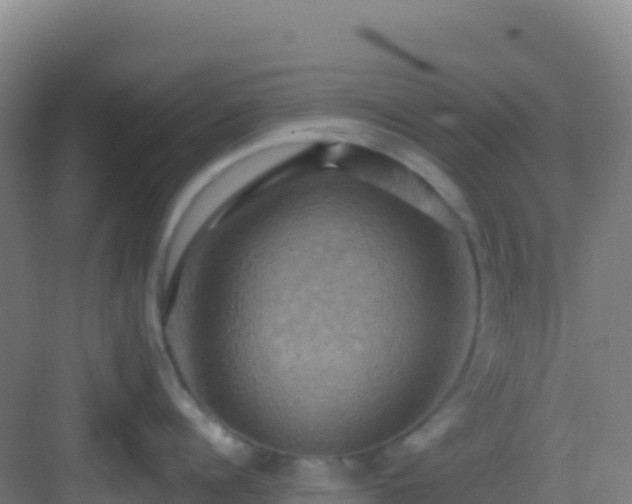 X0000083040960200702091405