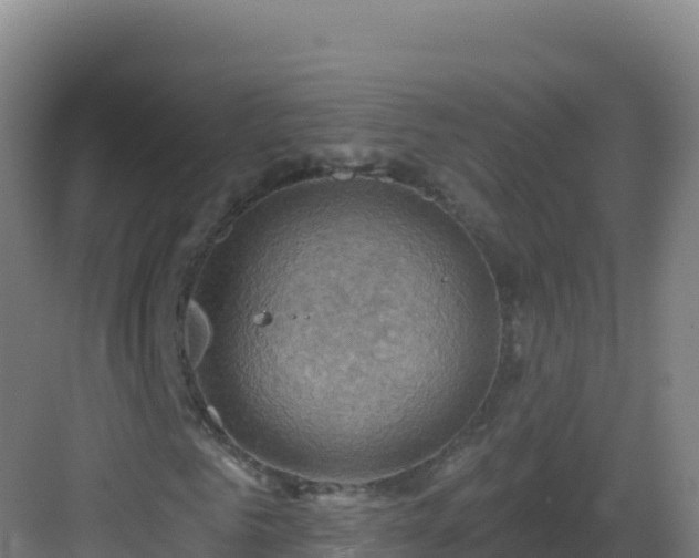 X0000083040961200702091405