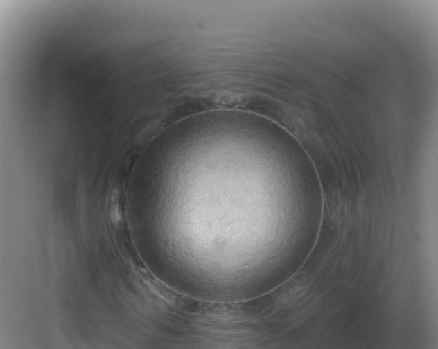 X0000083040962200702091405