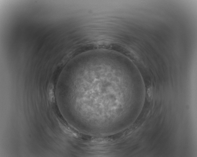 X0000083040963200702091405