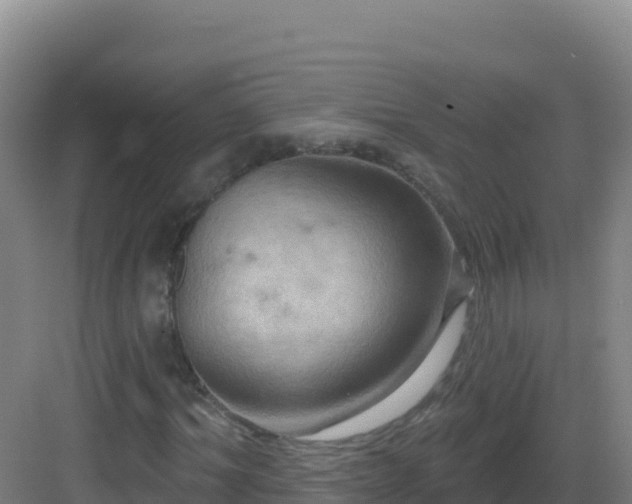 X0000083040964200702091405