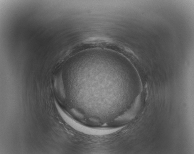 X0000083040965200702091405