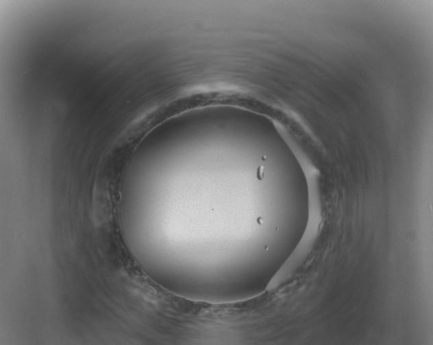 X0000083040967200702091405