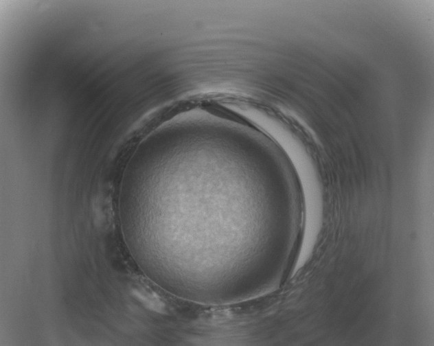 X0000083040968200702091405