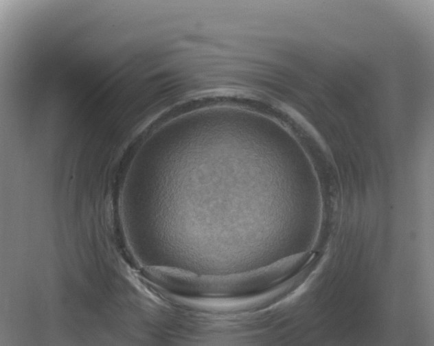 X0000083040969200702091405