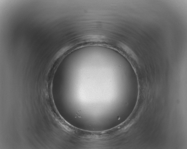 X0000083040970200702091405