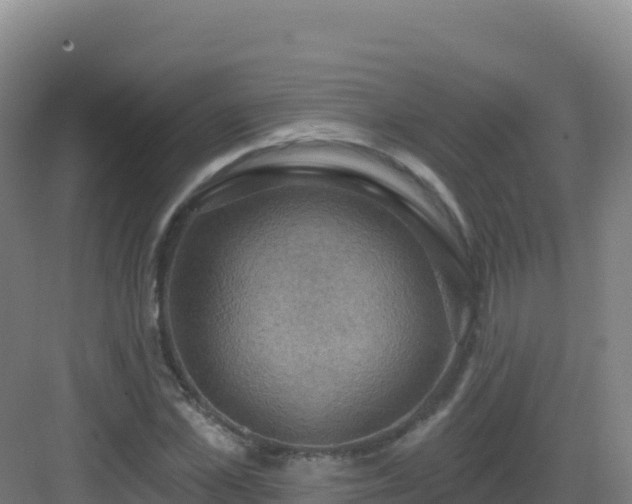 X0000083040973200702091404